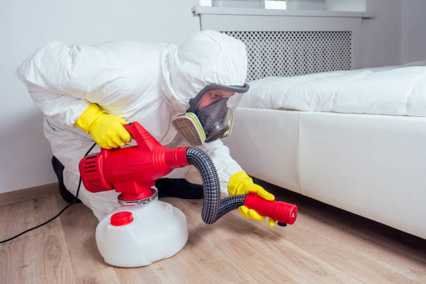 Professional Pest Control in Pinole, CA